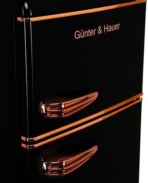 Холодильник Gunter & Hauer FN 240 CG 9226 фото