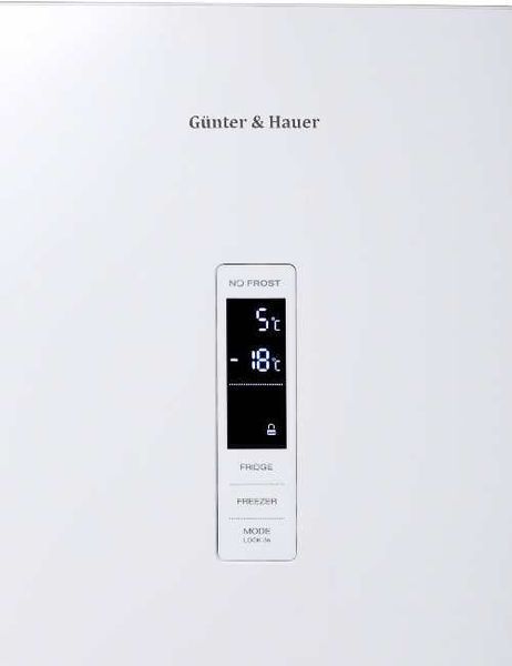 Холодильник Gunter & Hauer FN 315 ID 62232176901189 фото